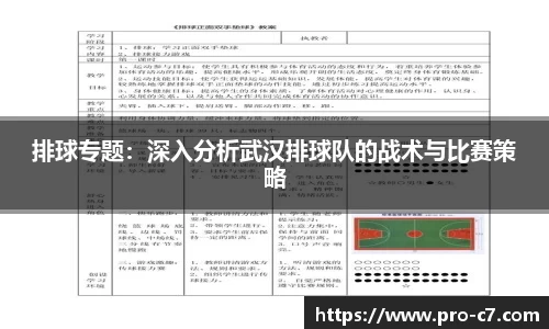 排球专题：深入分析武汉排球队的战术与比赛策略